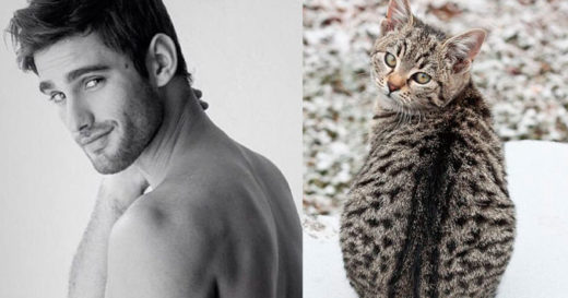Kittens and Men รวมภาพจับคู่ท่าเหมือนของ “นายแบบ” กับ “เจ้าเหมียว”