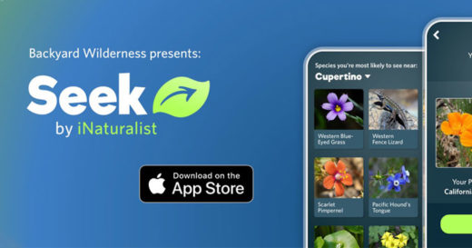 ปลุกความเป็นนักสำรวจในตัวคุณกับ ‘Seek’ แอพพลิเคชั่นที่บอกชื่อพันธุ์ไม้-สัตว์ได้เพียงใช้รูปถ่าย