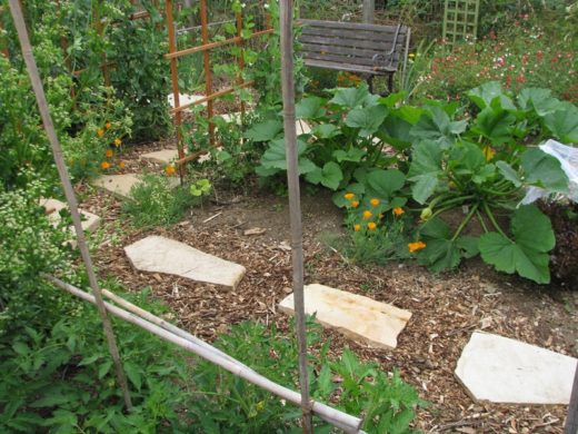 ปลูกพืชทำสวนวันละนิดจิตแจ่มใส! หลังวิจัยเผยช่วยลดฮอร์โมนความเครียด