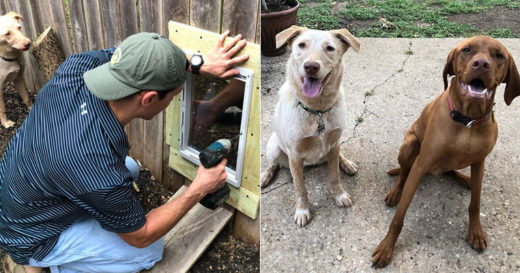 เจ้าของเห็นใจ เจาะรั้วบ้านสร้างประตูจำเป็นให้น้องหมามุดไปหาเพื่อนสี่ขาข้างบ้านได้!