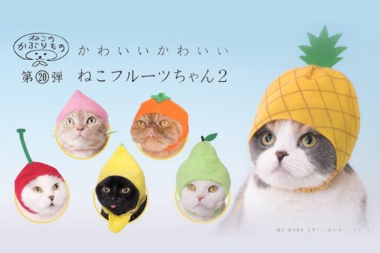 เพิ่มความสดชื่น~ ให้เหมียวของคุณในซัมเมอร์นี้ด้วยหมวกแมวใหม่ รุ่น ‘ผลไม้’