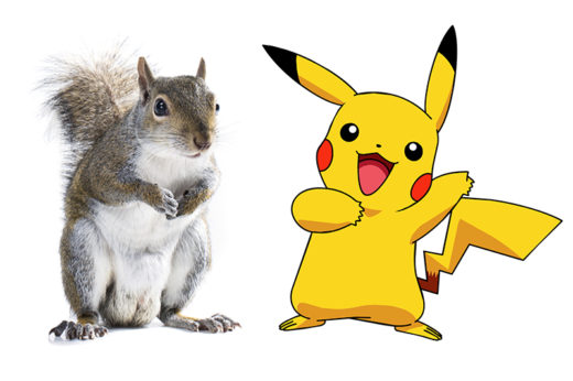 งงสิงานนี้ ผู้ออกแบบตัวการ์ตูน Pikachu เผยได้แรงบันดาลใจจากกระรอก ไม่ใช่หนู!