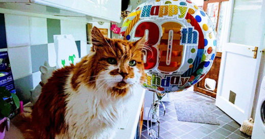 Rubble เจ้าเหมียวรุ่นเก๋าฉลองอายุยืนยาว 30 ปี!