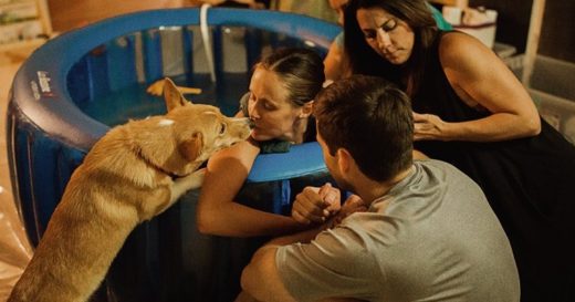 ลุ้นกว่าใครก็ตัวนี้แหละ เจ้าหมาคอร์กี้เกาะขอบอ่างใกล้ชิดให้กำลังใจนายหญิงคลอดสมาชิกคนใหม่