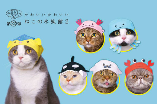 เปลี่ยนแมวเหมียวให้กลายเป็นเหล่าสัตว์น้ำด้วยหมวกแมวเซ็ตใหม่จาก Kitan Club