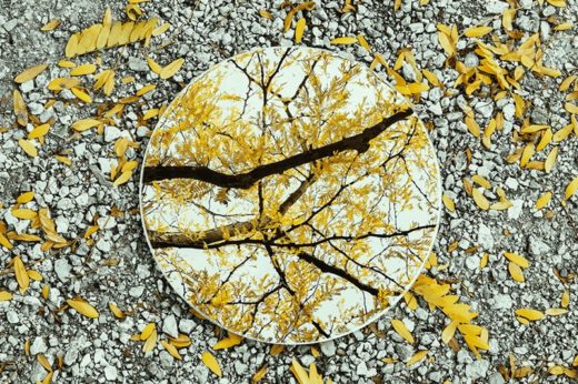 Reflections งานอาร์ตสวยๆ ที่สะท้อนความแปลกต่างสองฟากฝั่งจากกระจกเงา