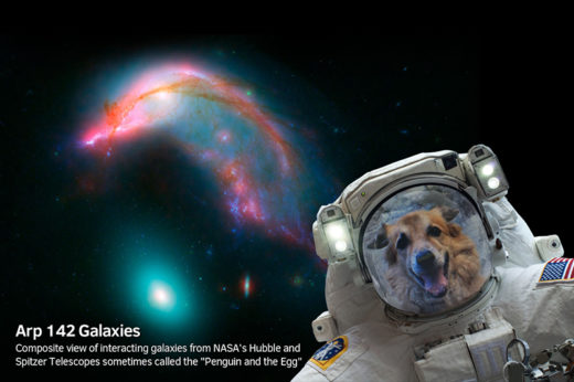 เติมเต็มความฝันคนอยากเป็นนักบินอวกาศ เพียงแค่มีแอปฯ NASA Selfies