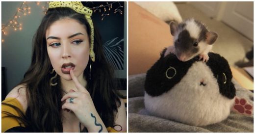 สาวซื้อลูกหนูมาเลี้ยงงูแต่ดันเอ็นดูสุดท้ายเลยเลี้ยงไว้ เลี้ยงมาเลี้ยงไปเจอเรื่องพลิกล็อกอีกตลบ!