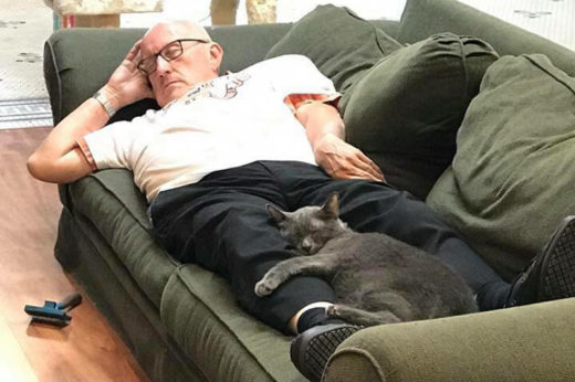 คุณลุงผู้น่ารักทำงานเป็นอาสาสมัครแปรงขนแมว แปรงดีจนเคลิ้มไปหมดทั้งแมวทั้งคน!