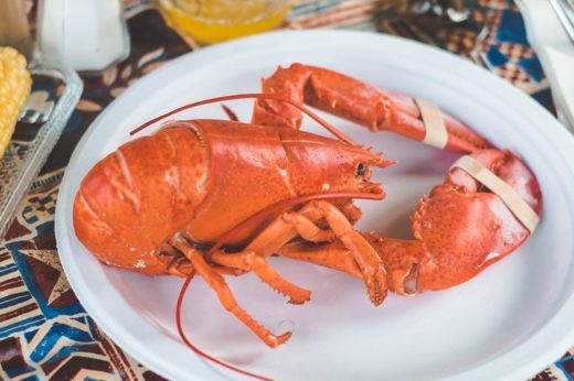 ร้านอาหารในสหรัฐฯ รมควันกัญชาล็อบสเตอร์ให้เคลิ้มเมาความสุขก่อนจับลงหม้อ