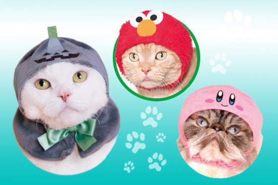 ทาสแมวเปย์รัวๆ เมื่อ Kitan Club ออกหมวกแมว 3 เซ็ทใหม่ น่ารักน่าสะสม!