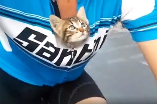 ขอบคุณนะมนุษย์: เหมียวดวงเฮงได้นักปั่นช่วยชีวิต พร้อมมอบบ้านถาวรให้