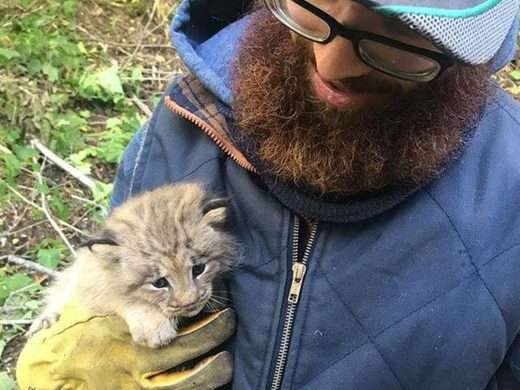 หนุ่มแคนาดาพบลูกเหมียวหน้าตาน่ารัก แต่แท้จริงแล้วมันคือแมวป่า!