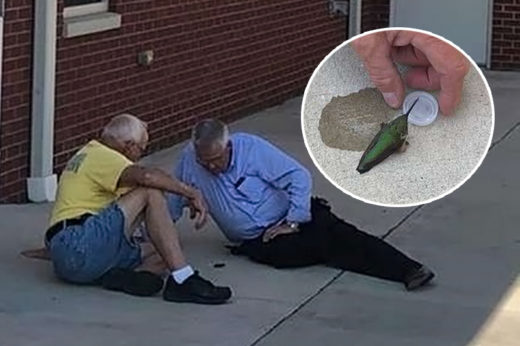 สองนักดับเพลิงใจดี ช่วยเหลือชีวิตนกฮัมมิงเบิร์ดตัวน้อยให้รอดตาย