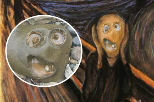 เปิดกระทู้สุดฮา! เมื่อชาว Reddit แข่งกันตัดต่อภาพ ‘หินหน้าตลก’