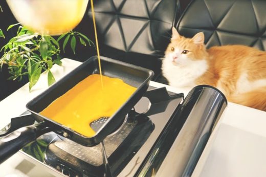 แชนแนลยูทิวบ์ JunsKitchen อร่อยเกิน 100 เพราะผ่าน QC เข้มจากแก๊งค์เหมียวแล้ว