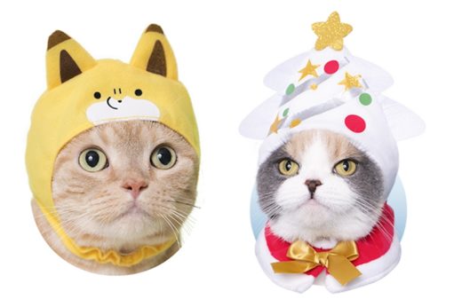 มอบของขวัญส่งท้ายปีให้น้องเหมียวที่รักด้วยหมวกแมว 2 เซ็ตใหม่