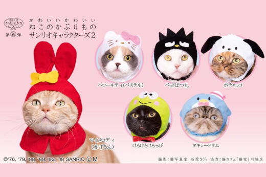 ส่งความน่ารักทิ้งทวนปี 2018 กับหมวกน้องเหมียวรุ่นใหม่ธีมการ์ตูน SANRIO