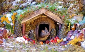 Simon Dell mice village