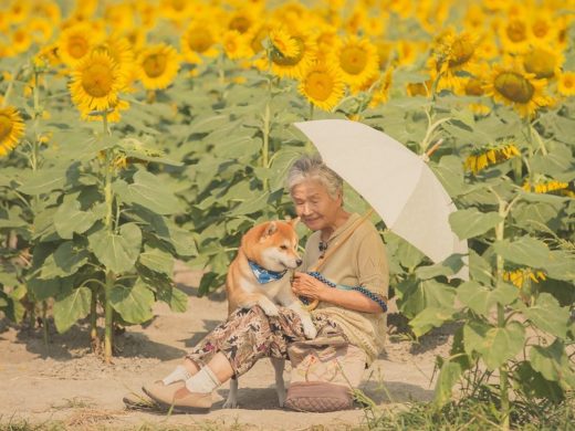 อบอุ่นหัวใจ ♥ ช่างภาพญี่ปุ่น Yasuto แชะภาพสวยถ่ายทอดความรักของคุณยายกับสุนัขตัวโปรด