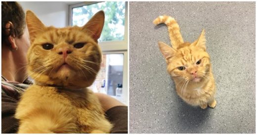 “Saul” พี่เหมียวหน้ายุ่งหัวใจมุ้งมิ้ง ถึงหน้าจะเหวี่ยงแต่นิสัยพี่ไม่เหวี่ยงนะ